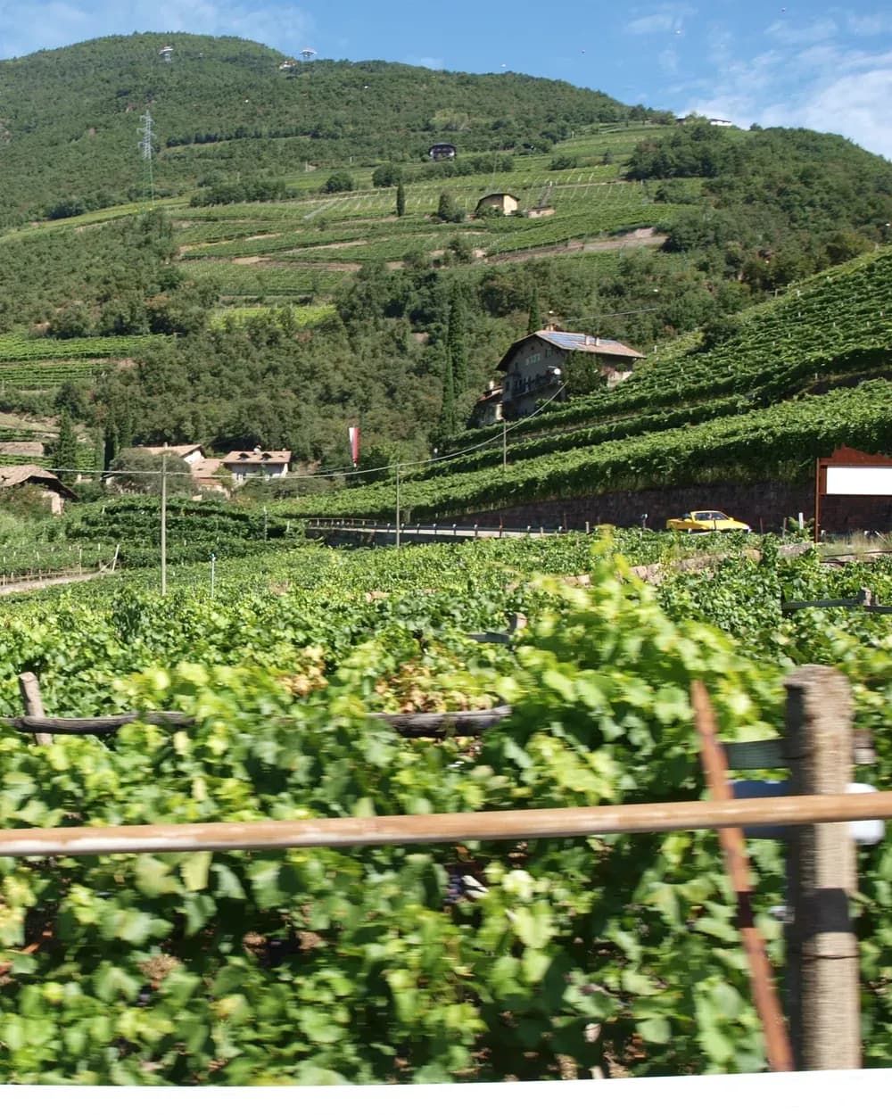 De makers van Cantine Ermes