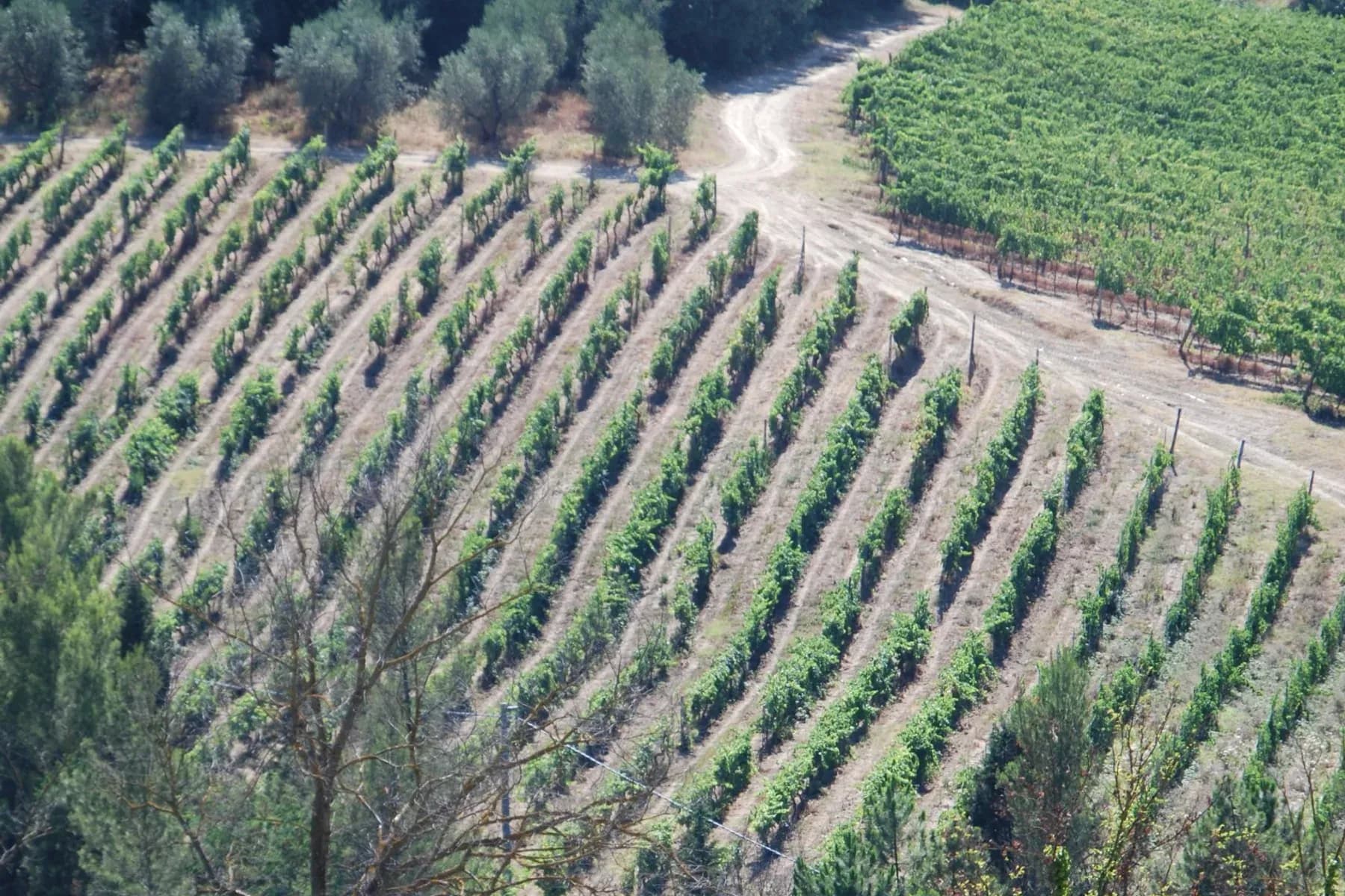 Landschap van Puglia